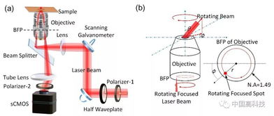 中科院合作團(tuán)隊(duì)在表面波光學(xué)顯微鏡研究中取得重大進(jìn)展