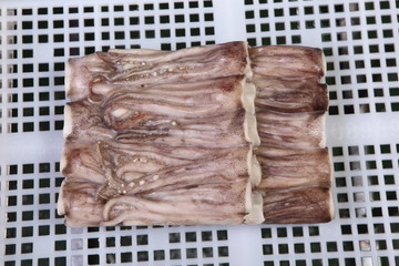 冷凍水產