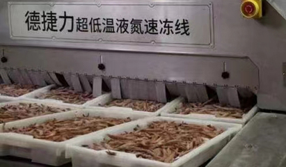 海鮮不“鮮”了?德捷力隧道式液氮速凍機(jī),讓舟山海鮮更美味