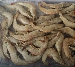 粗加工水產(chǎn)品