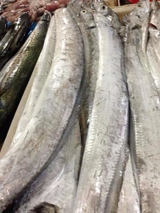 冷凍粗加工水產(chǎn)品-廠家直銷冷凍水產(chǎn)帶魚 冷凍帶魚批發(fā)-冷凍粗加工水產(chǎn)品盡在阿里巴.