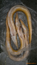 馬尾_冷凍粗加工水產(chǎn)品_馬尾價格_優(yōu)質(zhì)馬尾批發(fā)/采購 