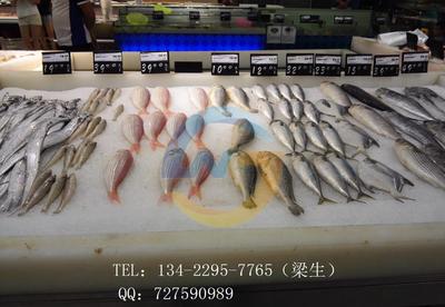 12噸片冰機(jī) 漁港海灣水產(chǎn)冷凍加工 肉類保鮮淡水片冰機(jī)