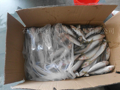 冷凍粗加工水產(chǎn)品-供應(yīng)冷凍沙丁魚-冷凍粗加工水產(chǎn)品盡在阿里巴巴-石獅市合德明海味.