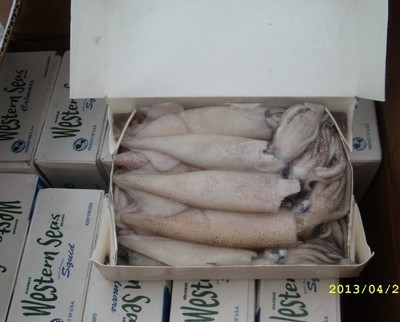 供應(yīng)新西蘭冷凍魷魚 魷魚須 魷魚頭 魷魚筒_供應(yīng)新西蘭冷凍魷魚 魷魚須 魷魚頭 魷魚筒價格_供應(yīng)新西蘭冷凍魷魚 魷魚須 魷魚頭 魷魚筒廠家冷凍粗加工水產(chǎn)品