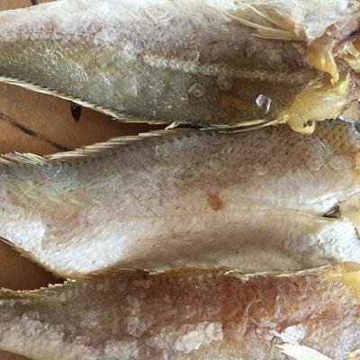山東特產(chǎn)冷凍加工小黃魚 新鮮水產(chǎn)海鮮小黃魚直銷 日照冷凍海鮮