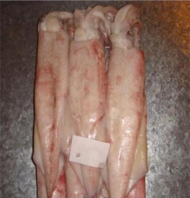 中港 水產(chǎn)品 中國(guó)紅魷魚(yú) 冷凍粗加工水產(chǎn)品