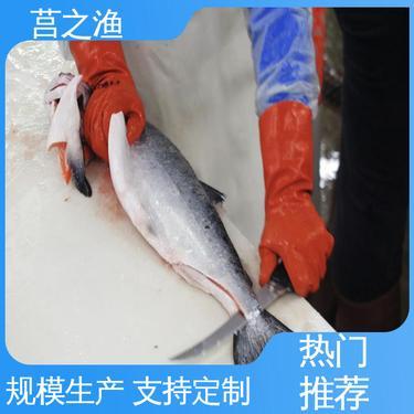 鮭魚多少錢一斤市場(chǎng)價(jià)格